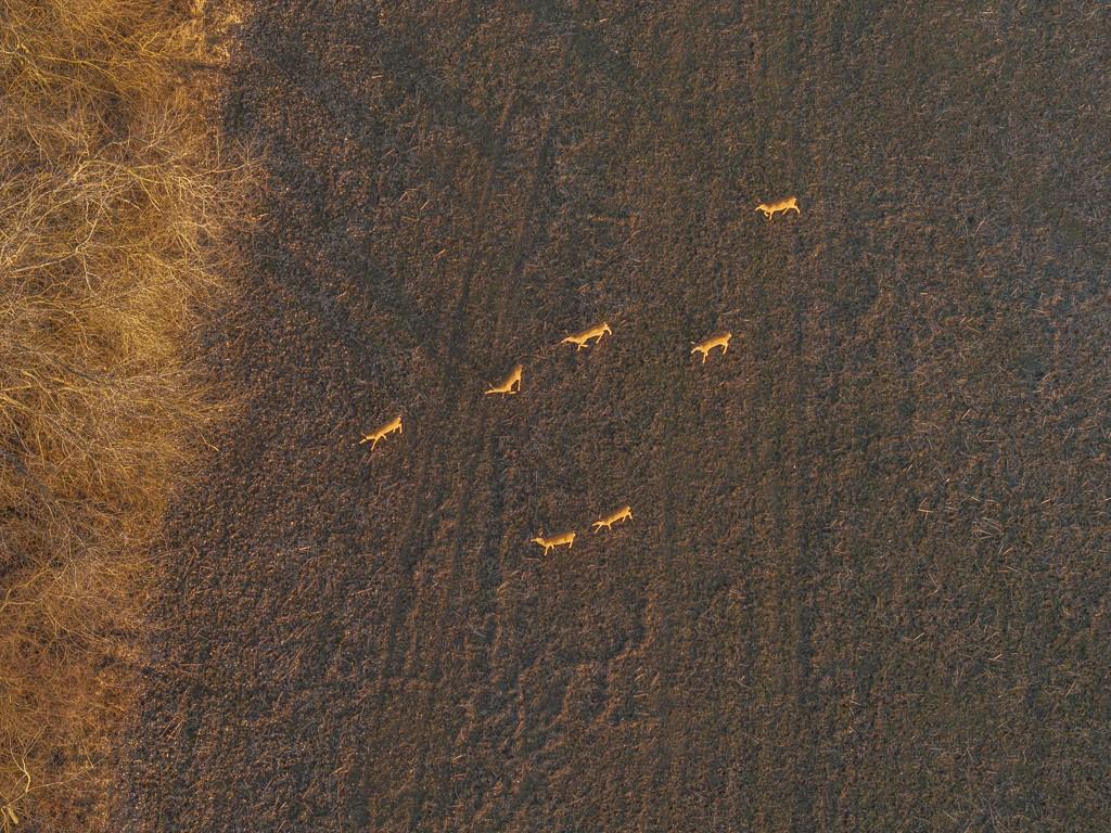 0 Green Road Sedalia, MO 65301 - Photo 16 of 79