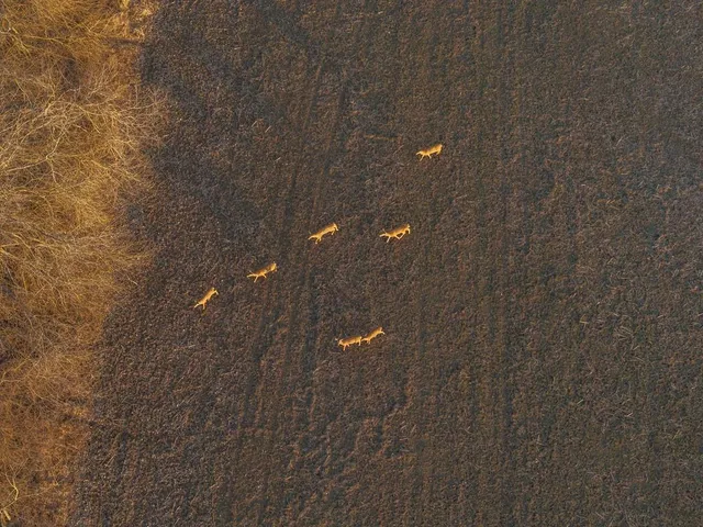 $741,000 | 0 Green Road, Sedalia, MO 65301