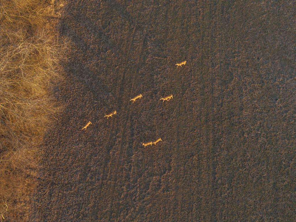 0 Green Road Sedalia, MO 65301 - Photo 17 of 79