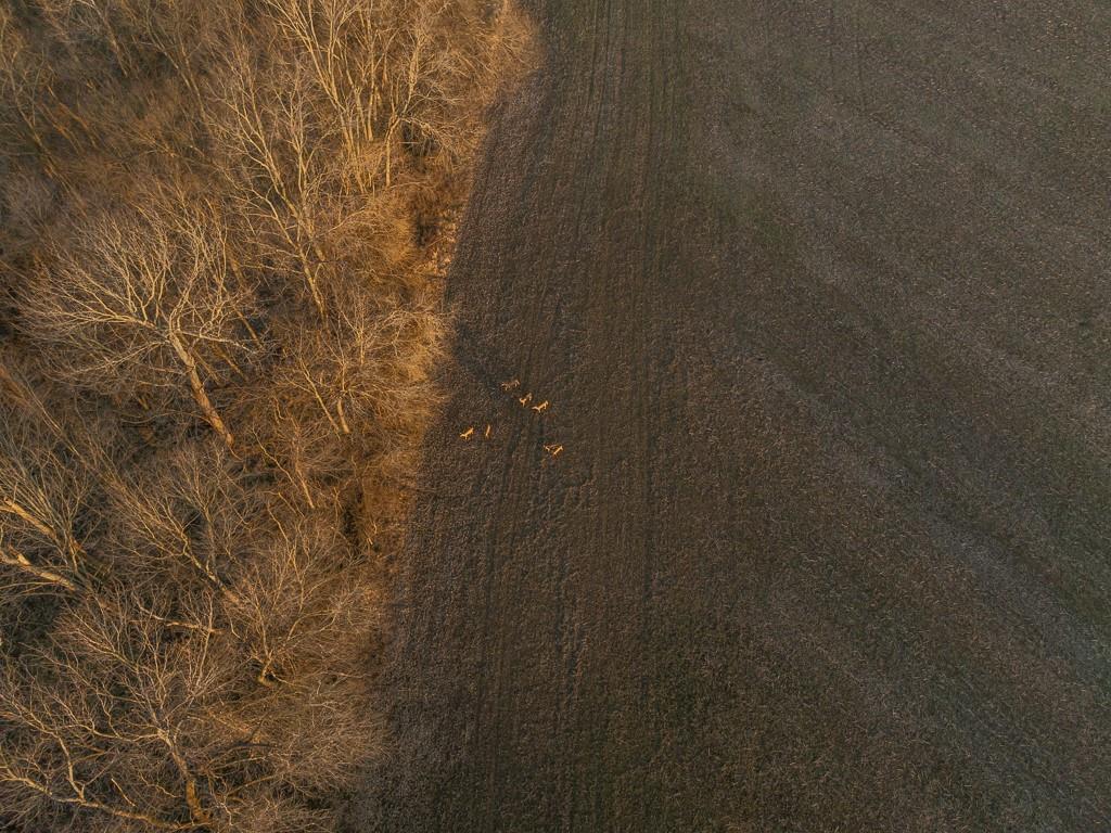 0 Green Road Sedalia, MO 65301 - Photo 18 of 79