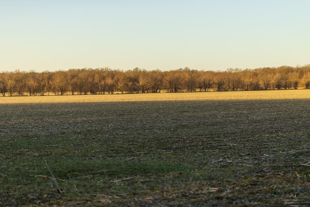 0 Green Road Sedalia, MO 65301 - Photo 29 of 79