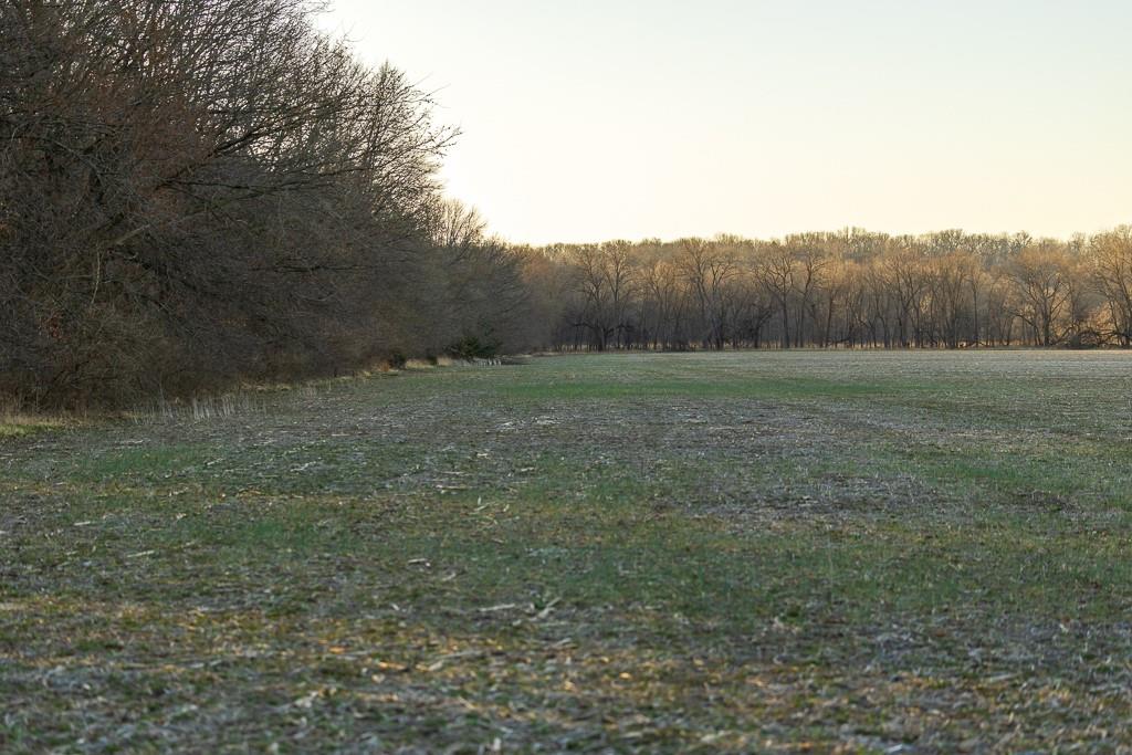 0 Green Road Sedalia, MO 65301 - Photo 30 of 79