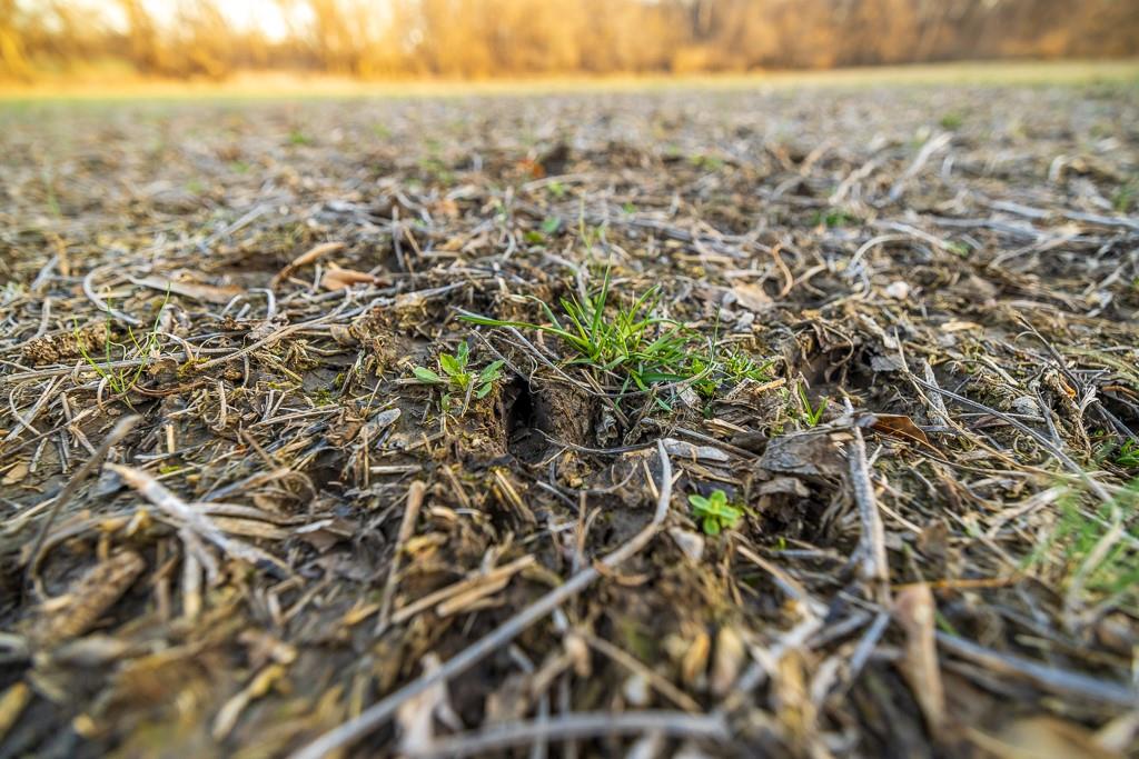 0 Green Road Sedalia, MO 65301 - Photo 33 of 79