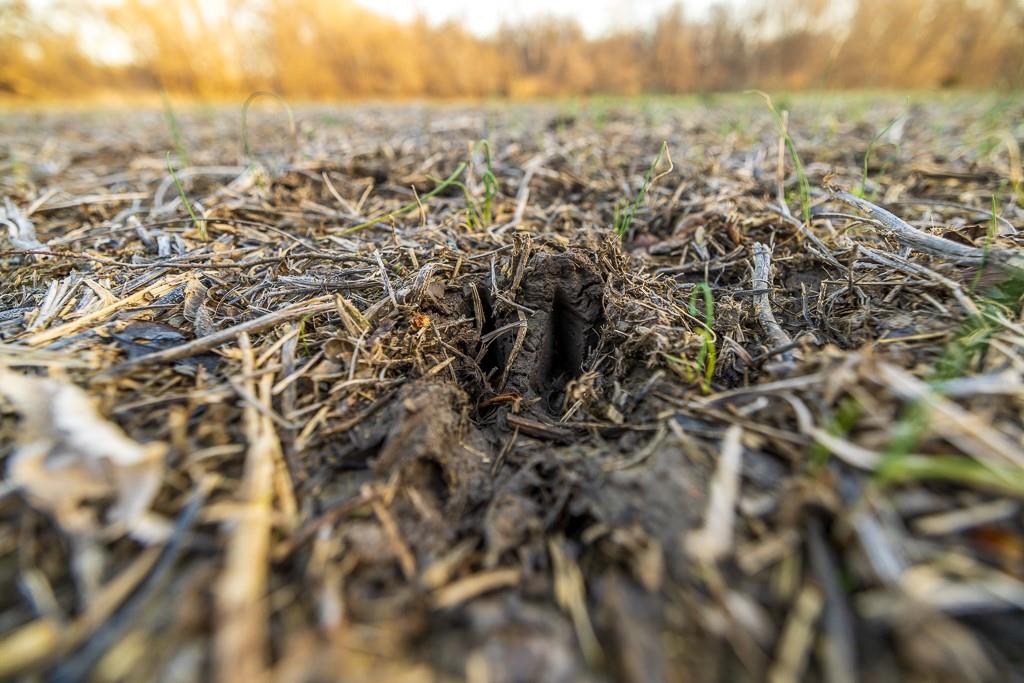 0 Green Road Sedalia, MO 65301 - Photo 34 of 79