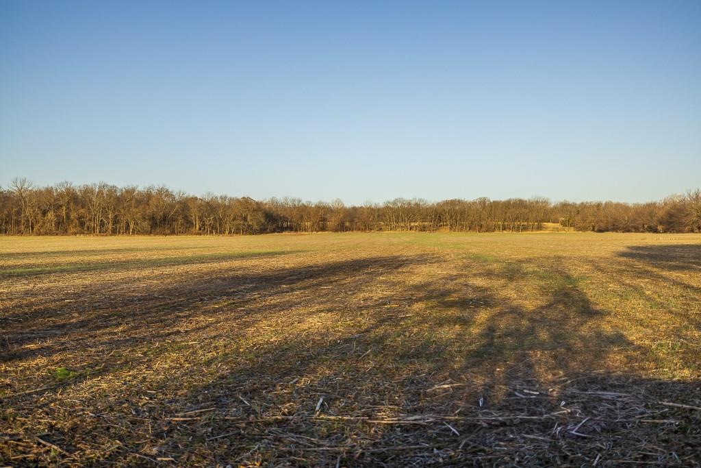 0 Green Road Sedalia, MO 65301 - Photo 49 of 79