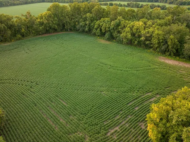 $741,000 | 0 Green Road, Sedalia, MO 65301