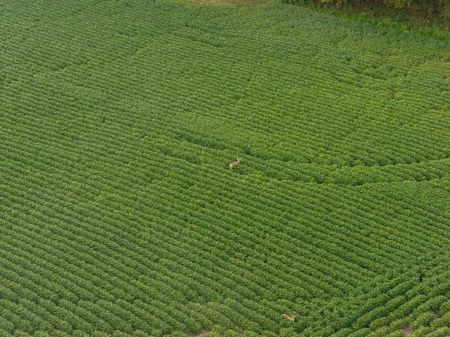 $741,000 | 0 Green Road, Sedalia, MO 65301