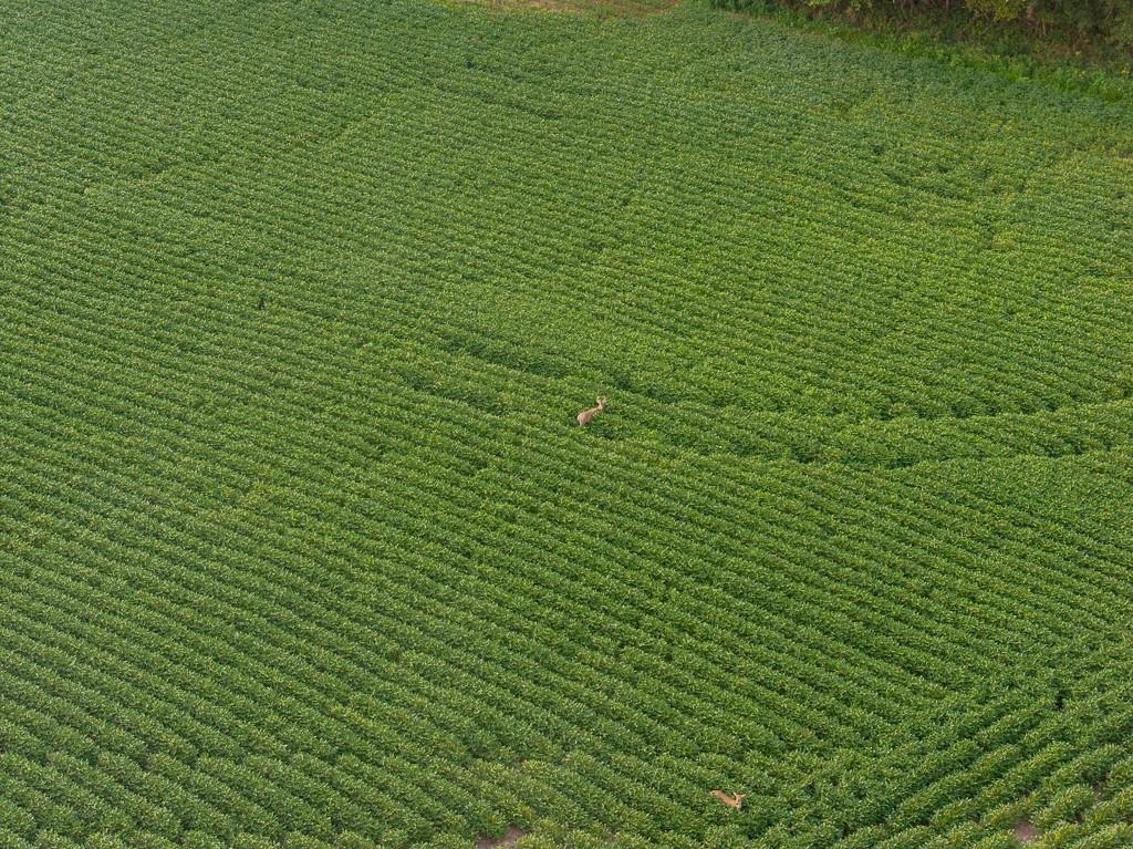 0 Green Road Sedalia, MO 65301 - Photo 53 of 79