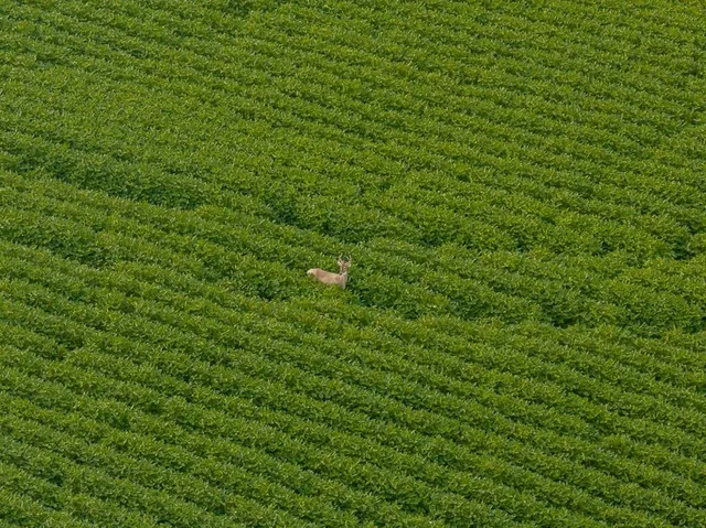 $741,000 | 0 Green Road, Sedalia, MO 65301