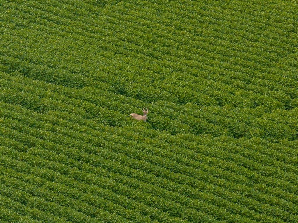 0 Green Road Sedalia, MO 65301 - Photo 54 of 79