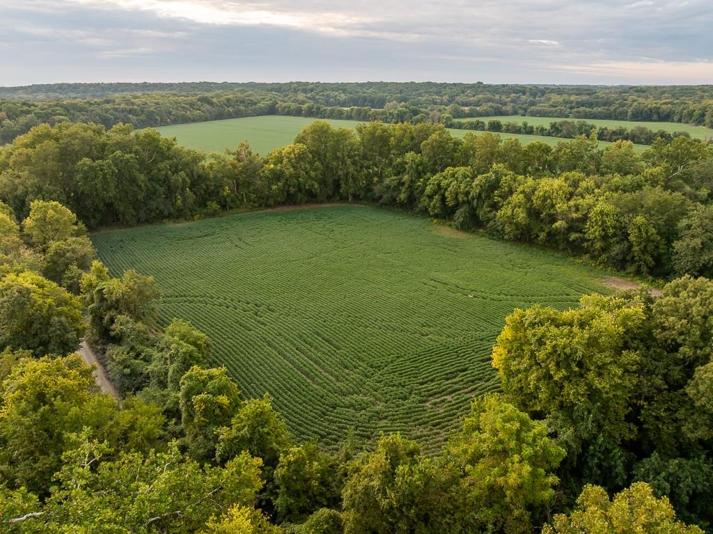 0 Green Road Sedalia, MO 65301 - Photo 55 of 79