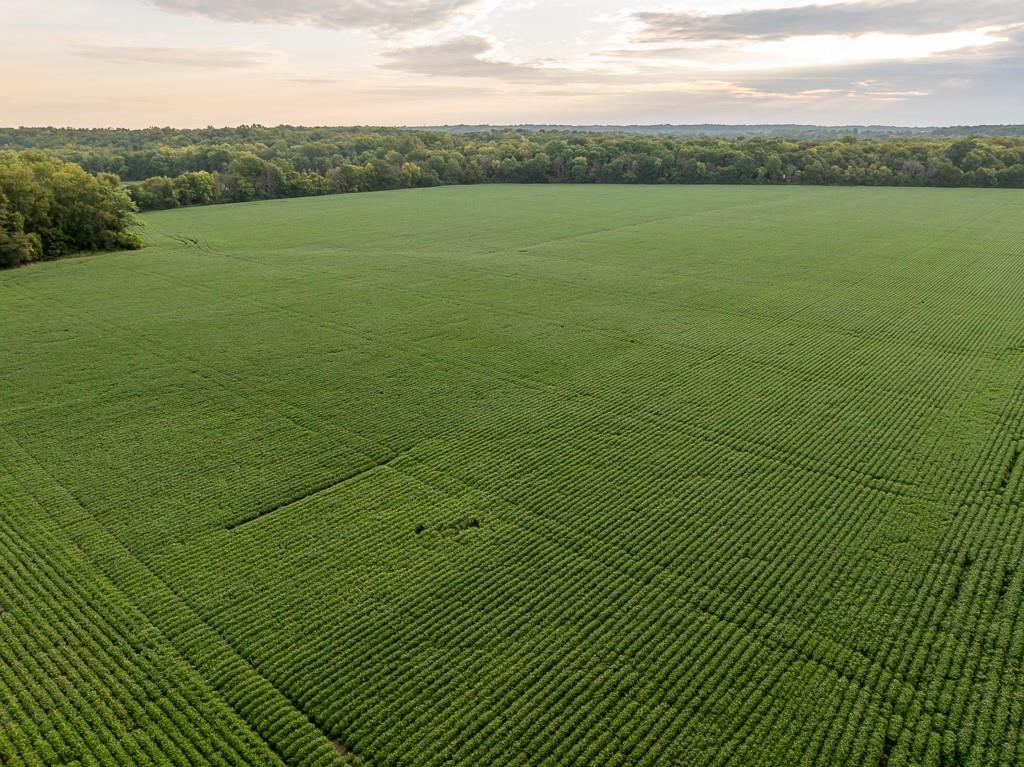 0 Green Road Sedalia, MO 65301 - Photo 69 of 79