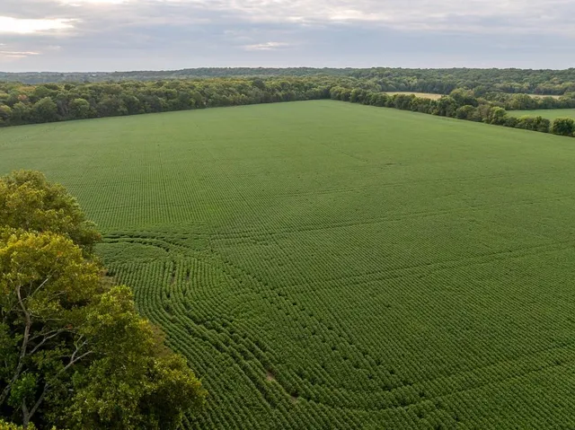 $741,000 | 0 Green Road, Sedalia, MO 65301