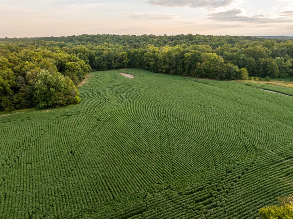 0 Green Road Sedalia, MO 65301 - Photo 72 of 79