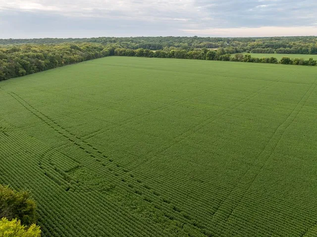 $741,000 | 0 Green Road, Sedalia, MO 65301