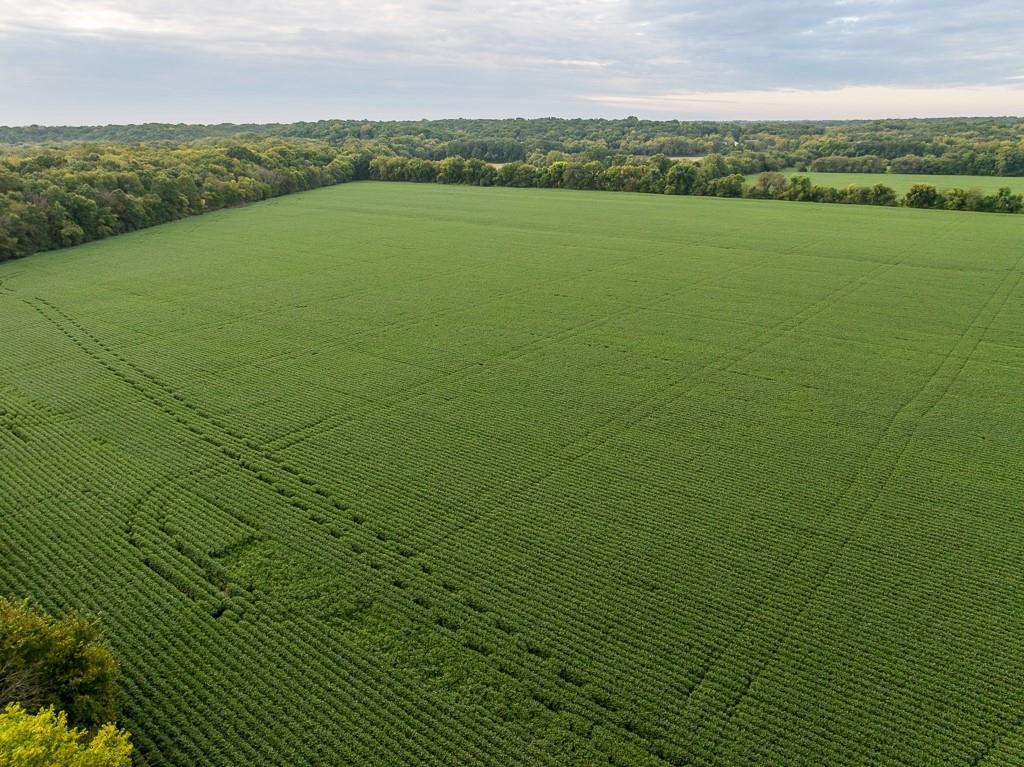 0 Green Road Sedalia, MO 65301 - Photo 73 of 79