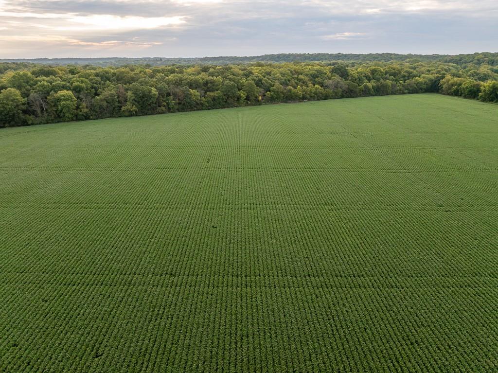 0 Green Road Sedalia, MO 65301 - Photo 74 of 79