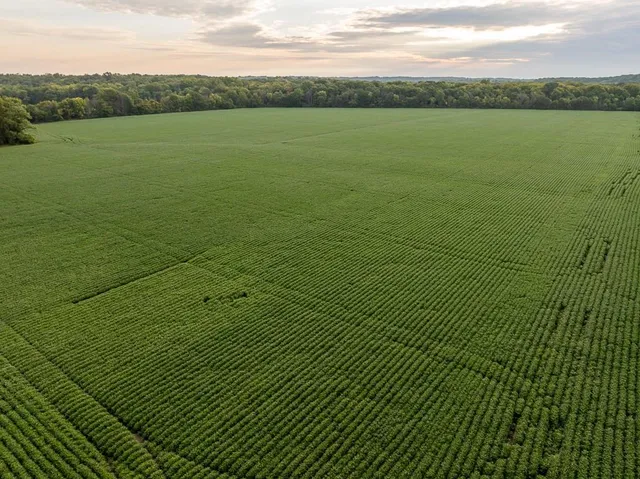 $741,000 | 0 Green Road, Sedalia, MO 65301