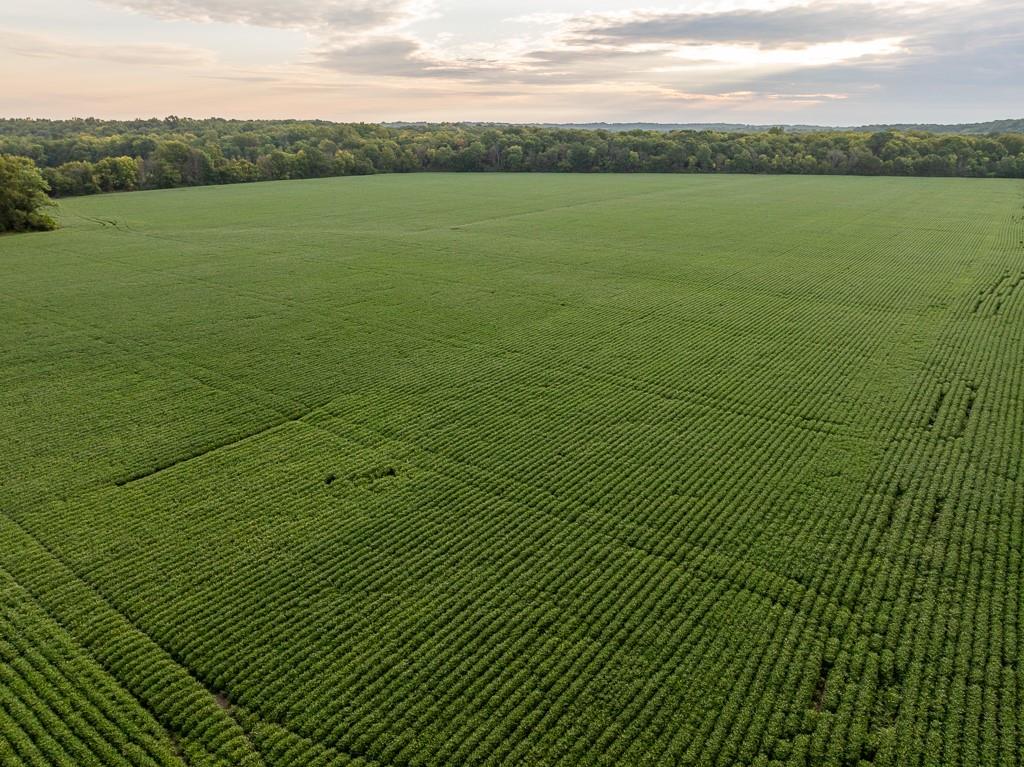 0 Green Road Sedalia, MO 65301 - Photo 77 of 79