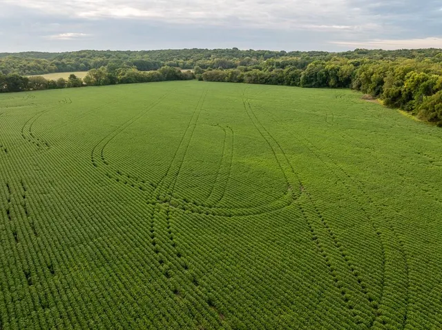 $741,000 | 0 Green Road, Sedalia, MO 65301