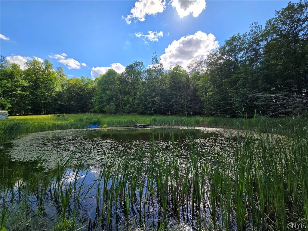 7988 Dowd Road Pike, NY 14735 - Photo 4 of 37