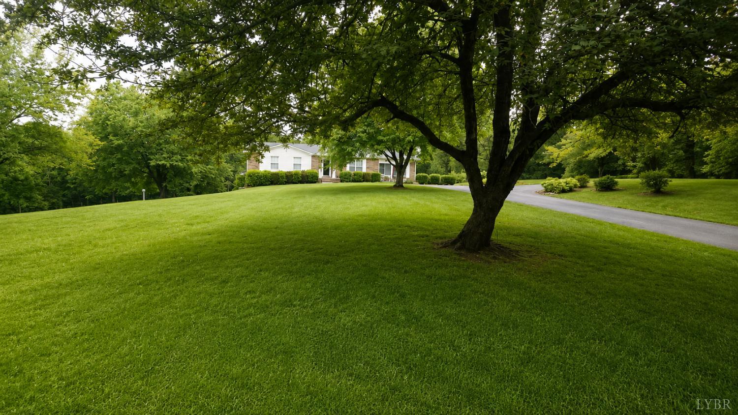 2346 Mitchell Mill Road Gladys, VA 24554 - Photo 32 of 38 a view of a trees with a yard