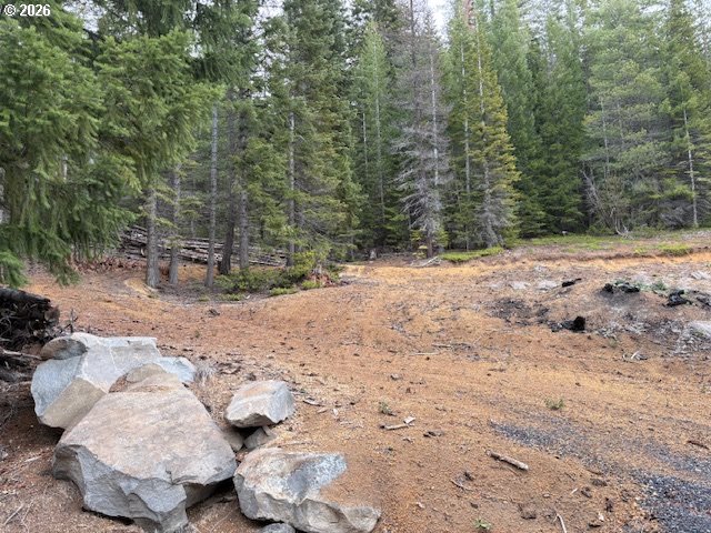 6 Royce Pine Road Crescent Lake, OR 97733 - Photo 1 of 11 a view of a backyard with trees