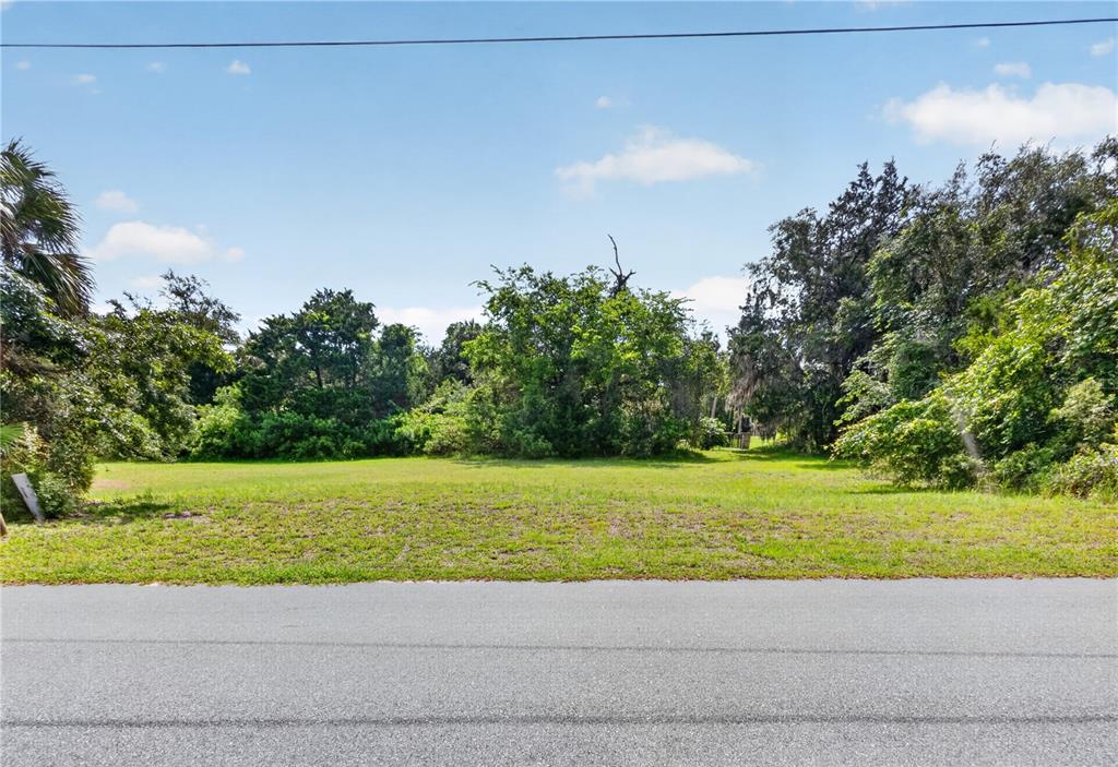 4540 South Sawgrass Circle Homosassa, FL 34448 - Photo 4 of 22 a view of a field with a palm trees