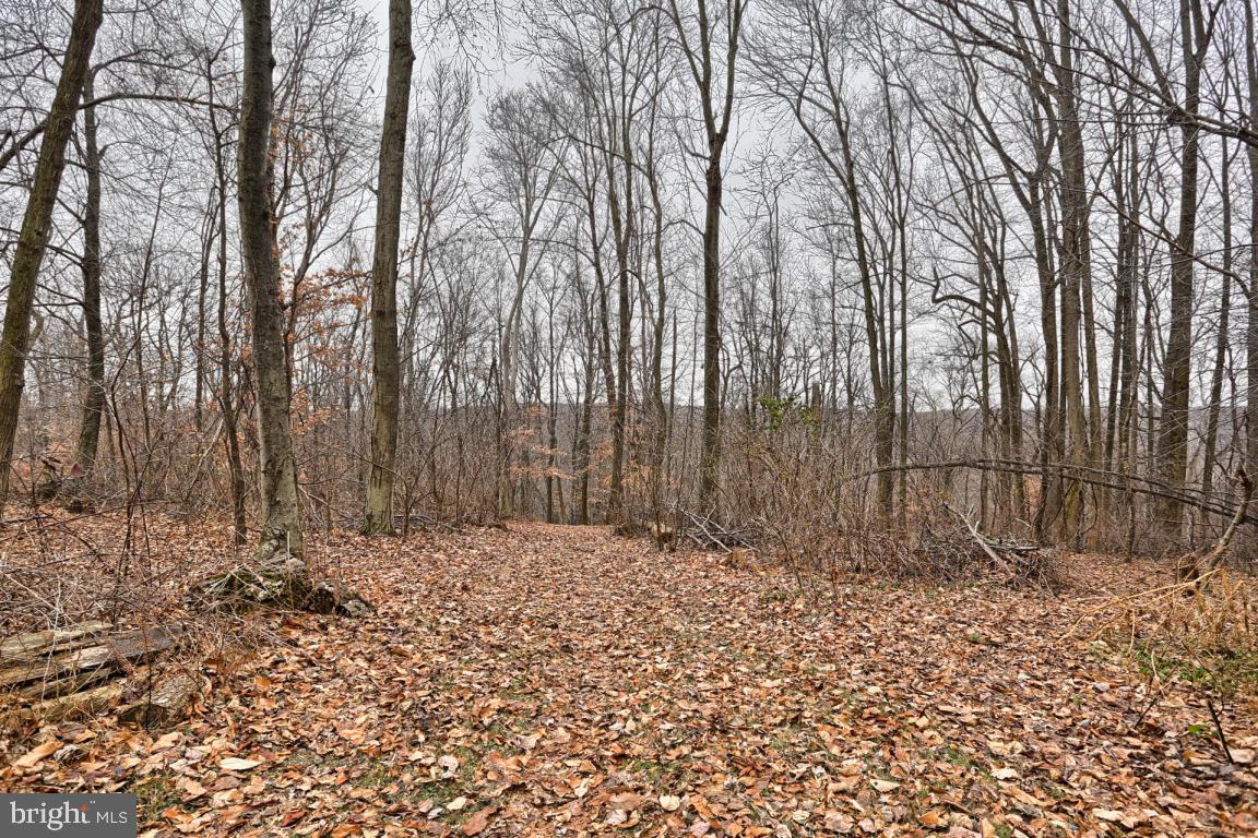 132 Frogtown Road Pequea, PA 17565 - Photo 15 of 40