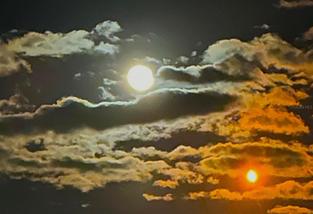 2031 Key Bay Trail Kissimmee, FL 34747 - Photo 32 of 46 a close up of a vase of white flowers