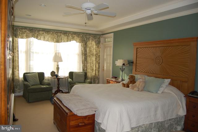 24499 New Post Road St. Michaels, MD 21663 - Photo 22 of 59 Gallery Image 22