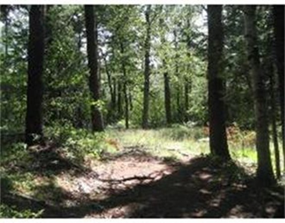 301 Rindge Turnpike Ashburnham, MA 01430 - Photo 2 of 3 a view of outdoor space and trees