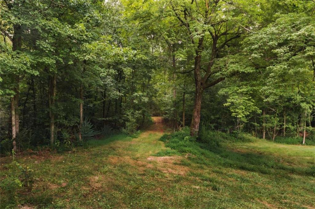 1910 Ridgeway Road Trion, GA 30753 - Photo 26 of 38 Gallery Image 26