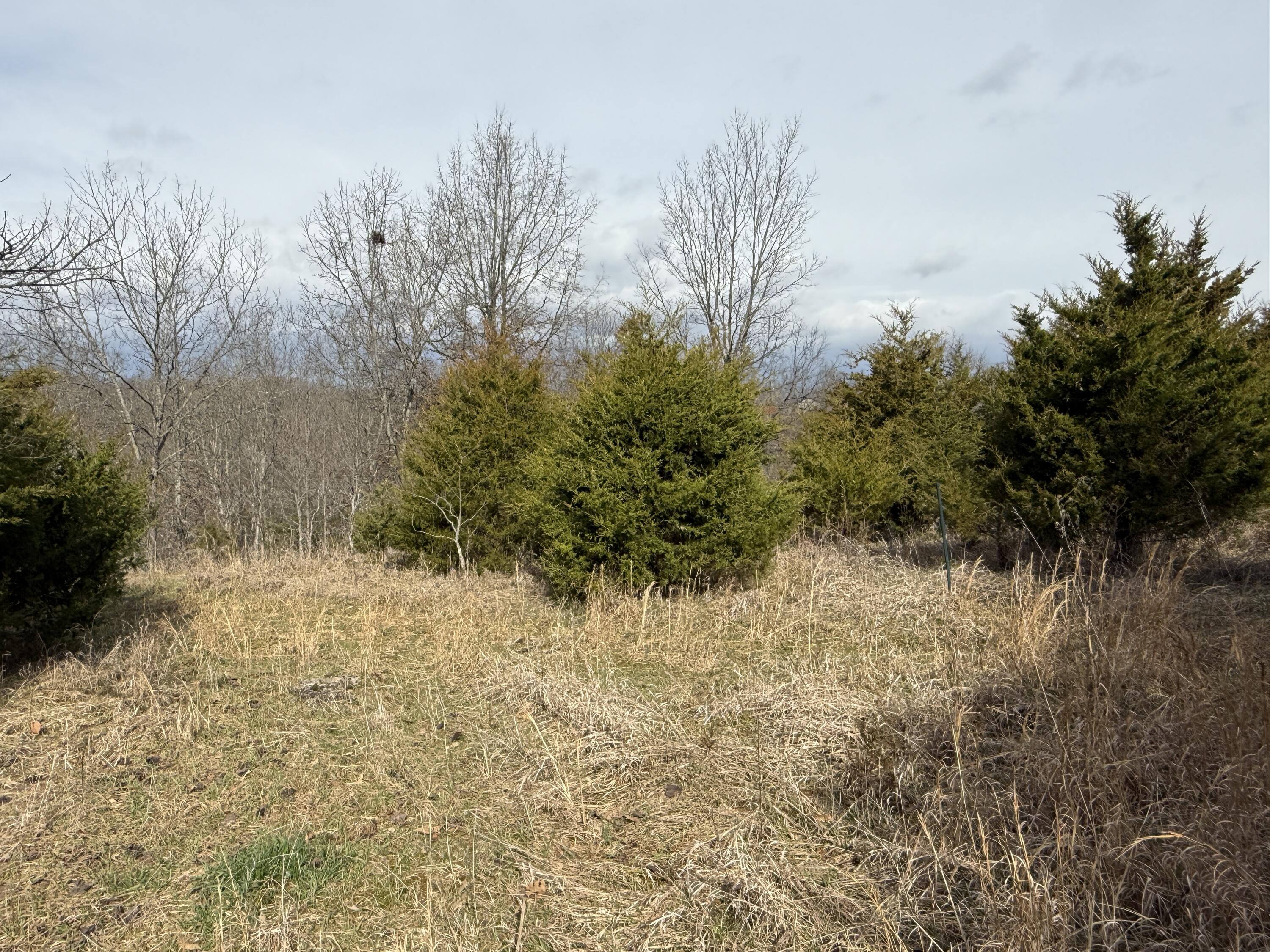 0 Mattox Road Falmouth, KY 41040 - Photo 2 of 19