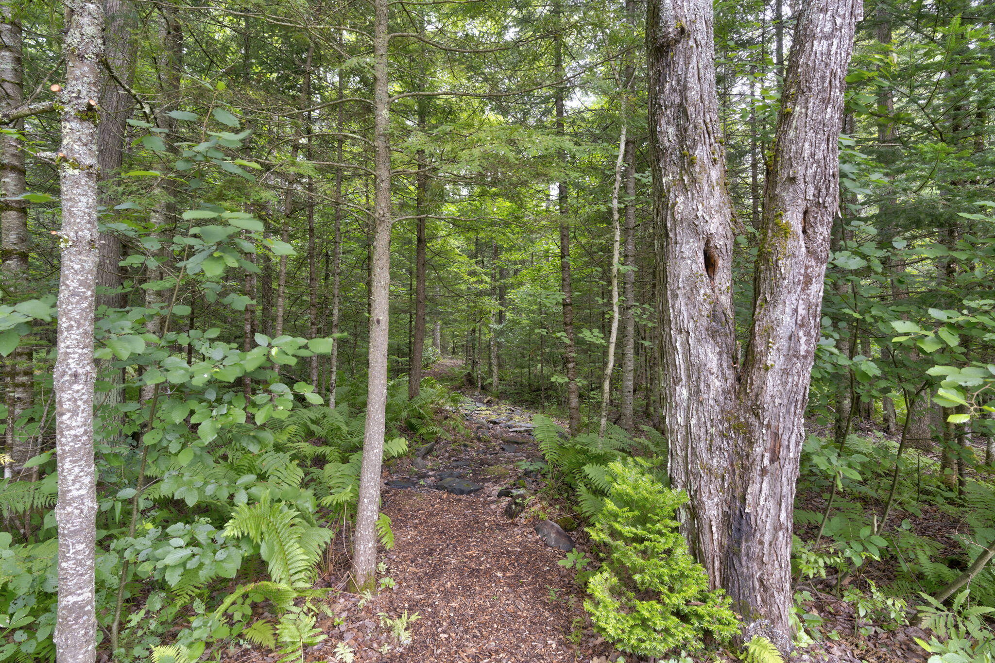 18 Bowie Hill Road Durham, ME 04222 - Photo 55 of 60 54-web-or-mls-18BowieHill-46