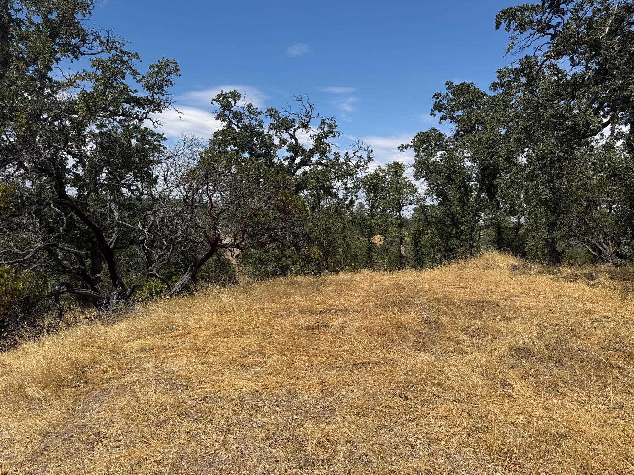 16173 Nugget Road Corning, CA 96021 - Photo 2 of 21