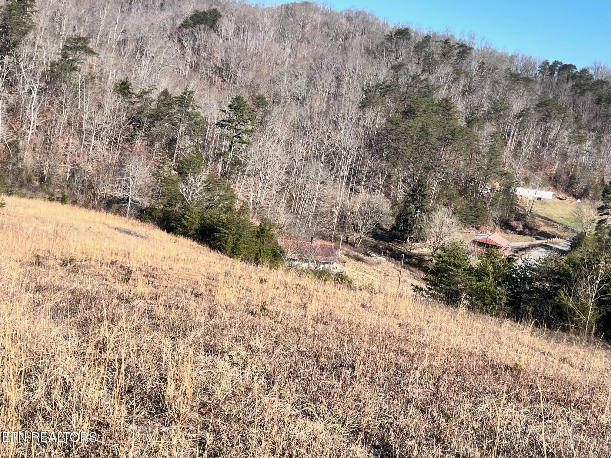 1581 Lower Caney Valley Road Tazewell, TN 37879 - Photo 11 of 12 IMG_3869