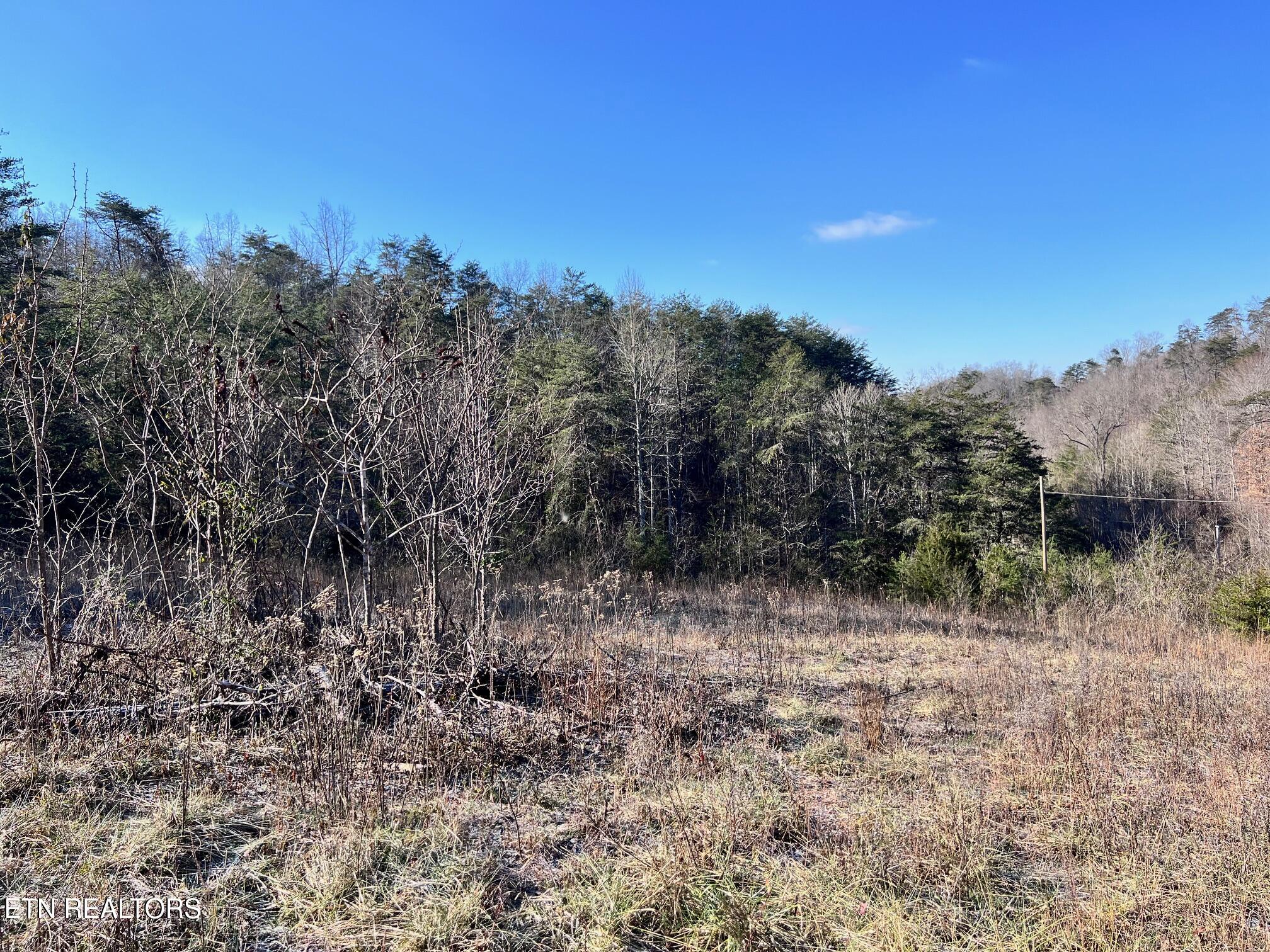 1581 Lower Caney Valley Road Tazewell, TN 37879 - Photo 12 of 12 IMG_3870