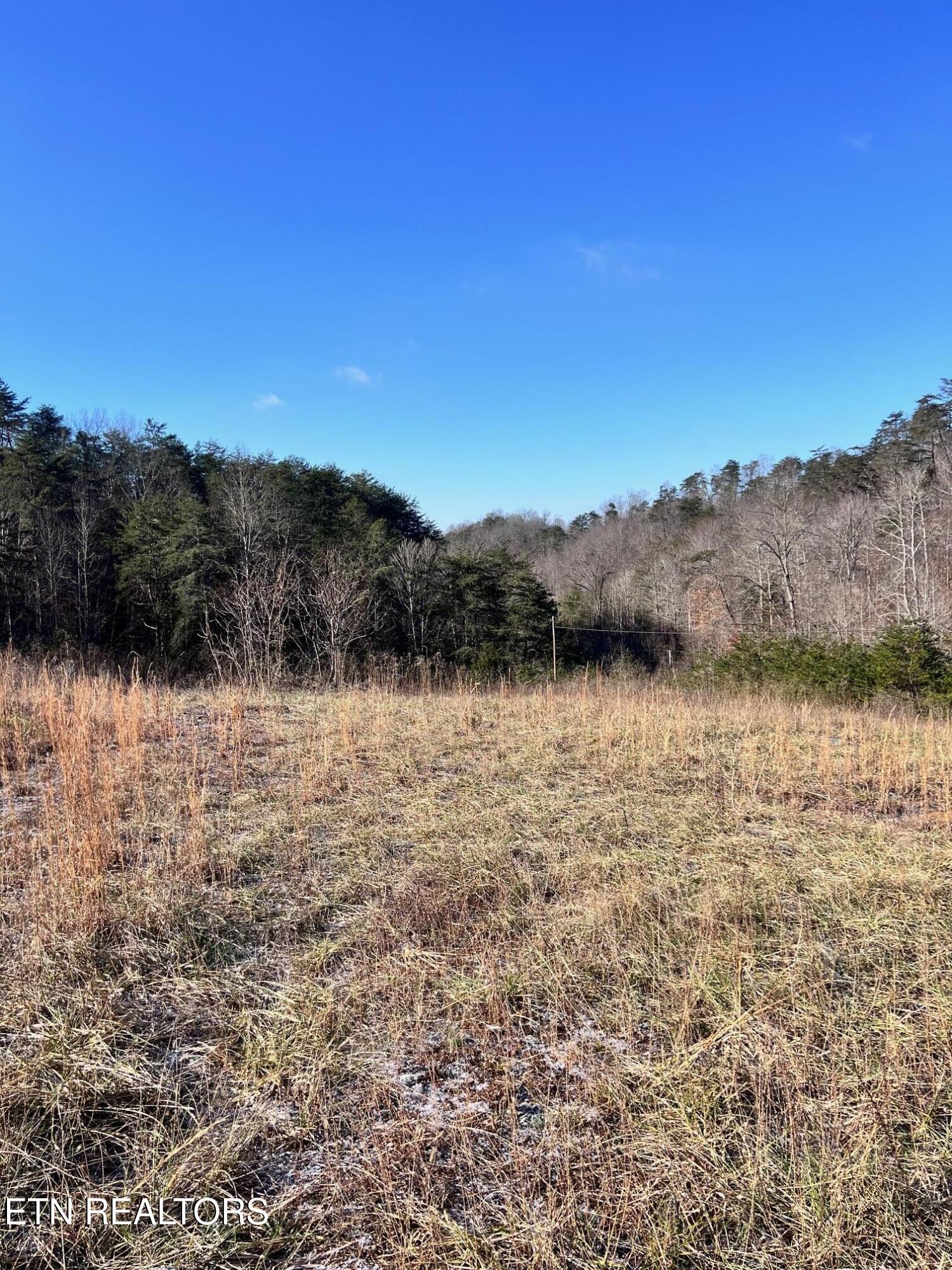1581 Lower Caney Valley Road Tazewell, TN 37879 - Photo 4 of 12 IMG_3861