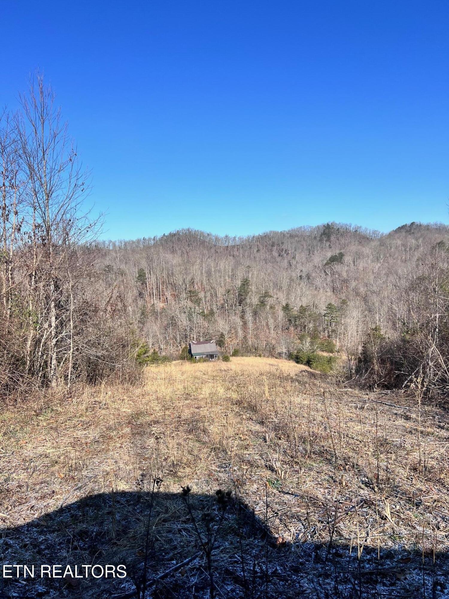 1581 Lower Caney Valley Road Tazewell, TN 37879 - Photo 5 of 12 IMG_3862