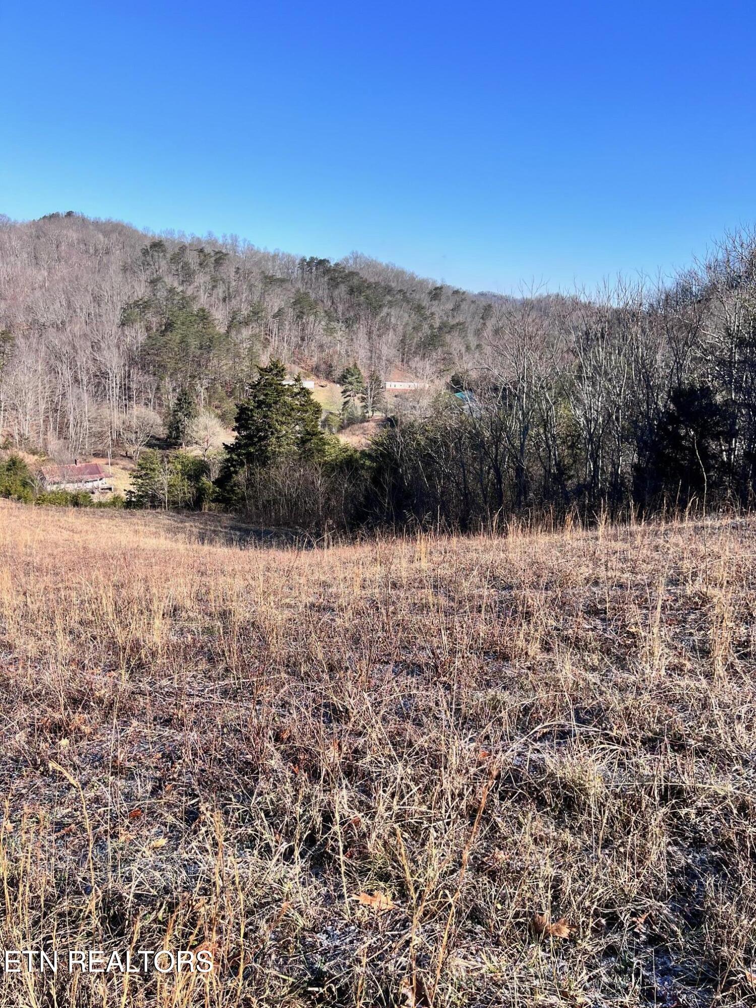 1581 Lower Caney Valley Road Tazewell, TN 37879 - Photo 7 of 12 IMG_3865