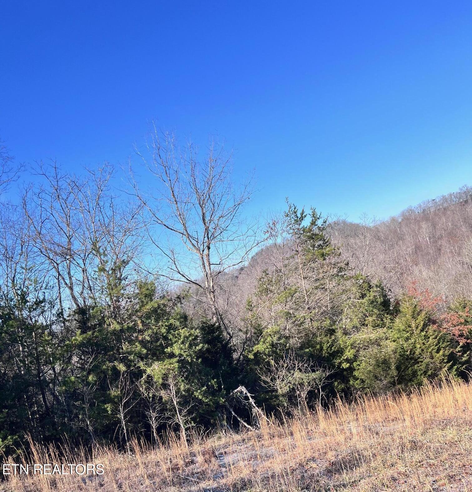 1581 Lower Caney Valley Road Tazewell, TN 37879 - Photo 8 of 12 IMG_3866