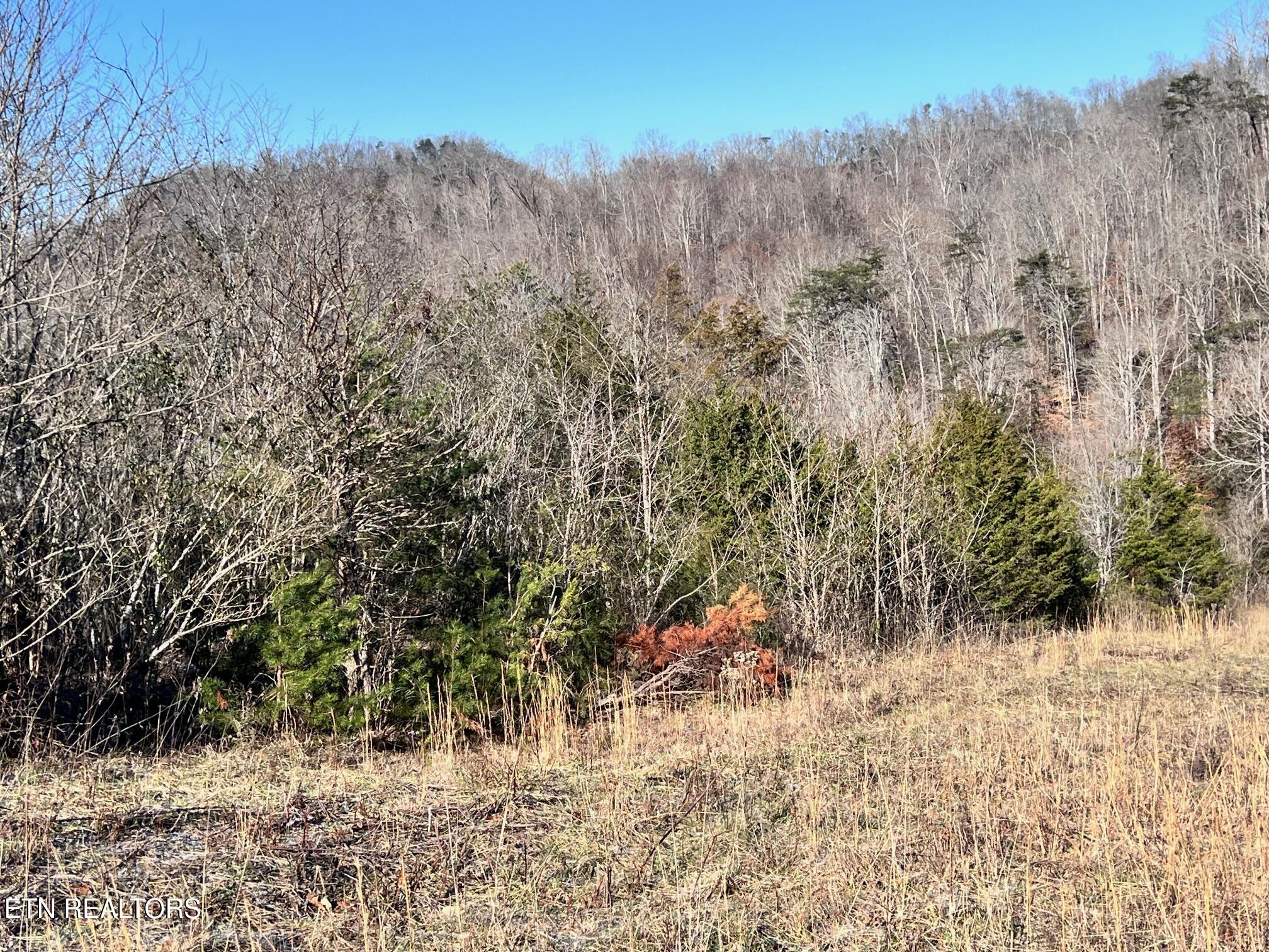 1581 Lower Caney Valley Road Tazewell, TN 37879 - Photo 10 of 12 IMG_3868