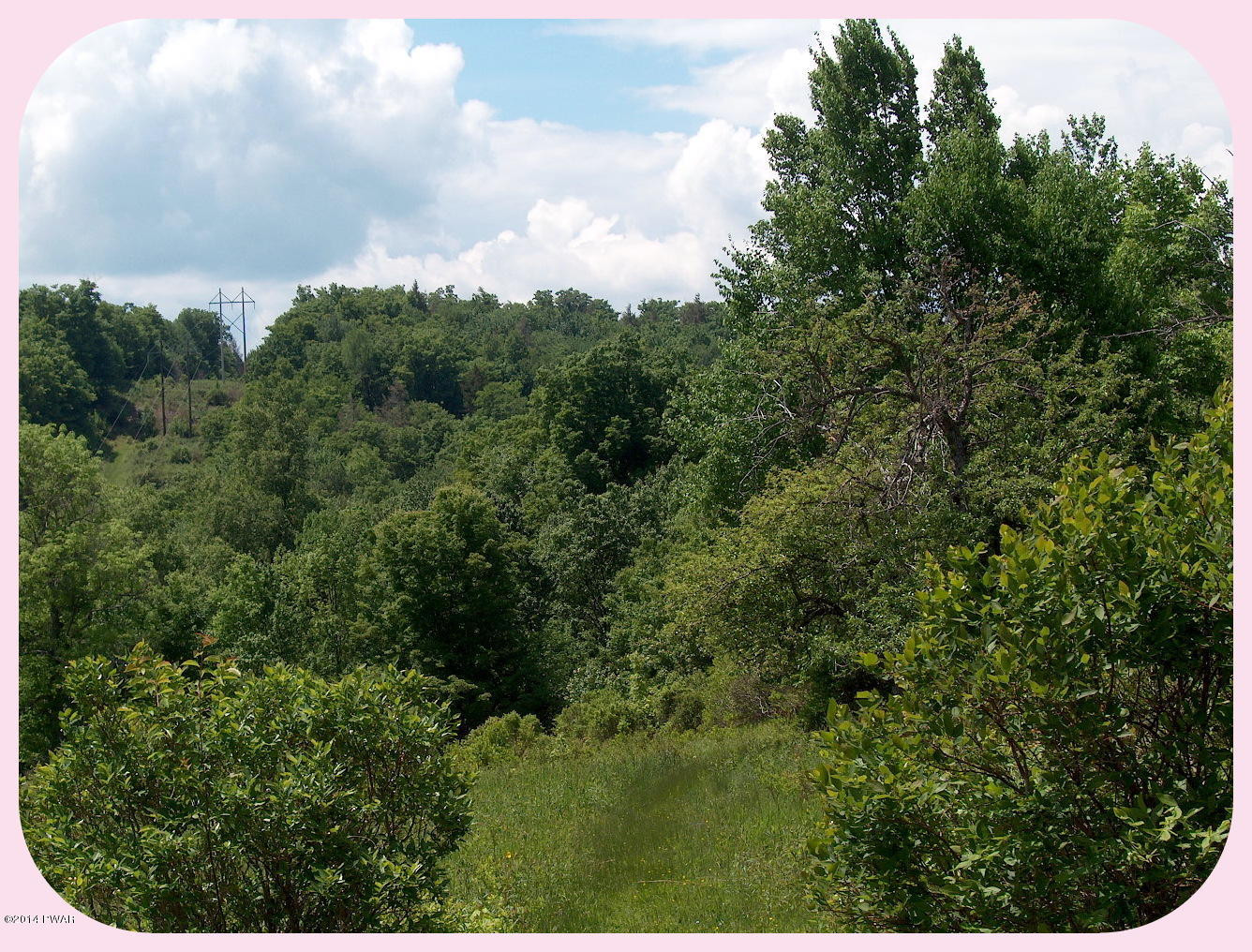 193 South Turnpike Road Newfoundland, PA 18445 - Photo 39 of 48