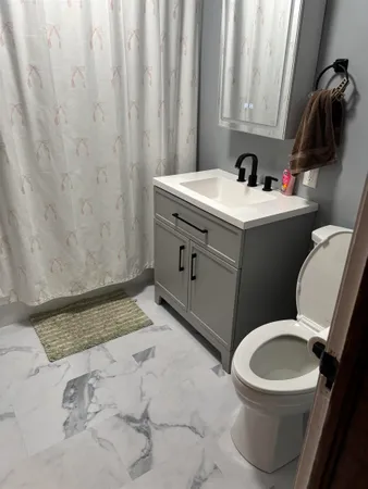 a bathroom with a sink a toilet and vanity