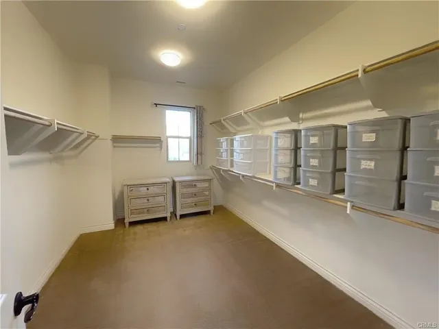 a view of a big room with closet and windows