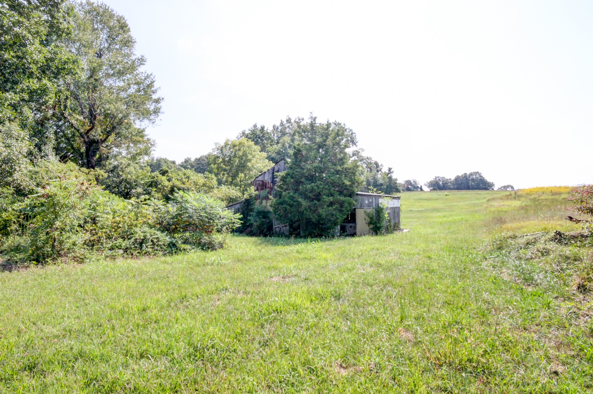5345 Butler Road Hopkinsville, KY 42240 - Photo 14 of 55 Gallery Image 14