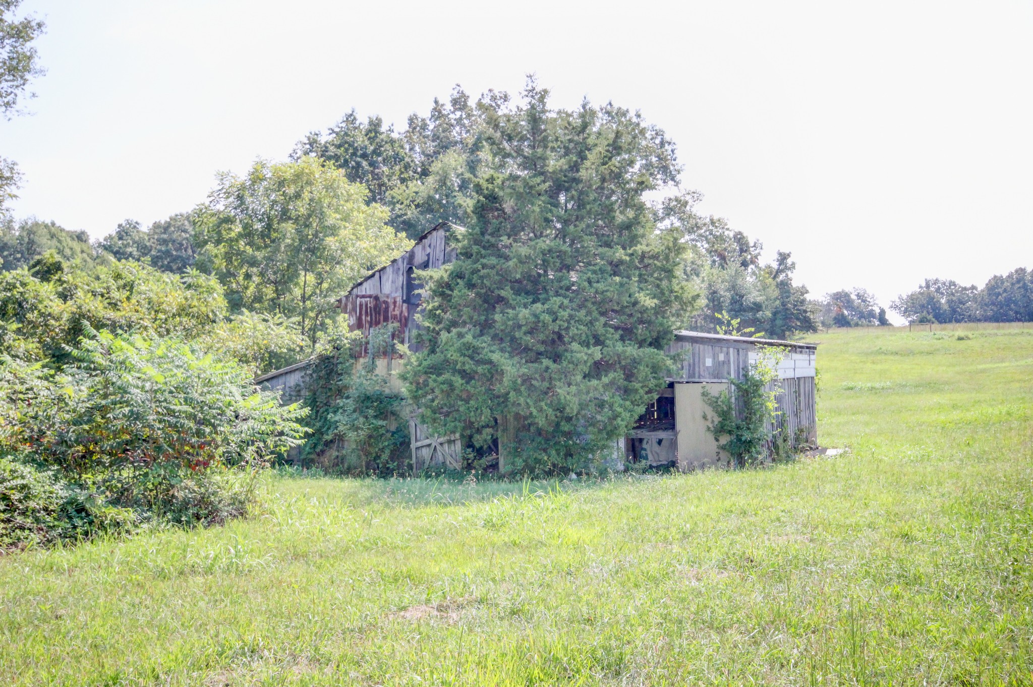 5345 Butler Road Hopkinsville, KY 42240 - Photo 15 of 55 Gallery Image 15