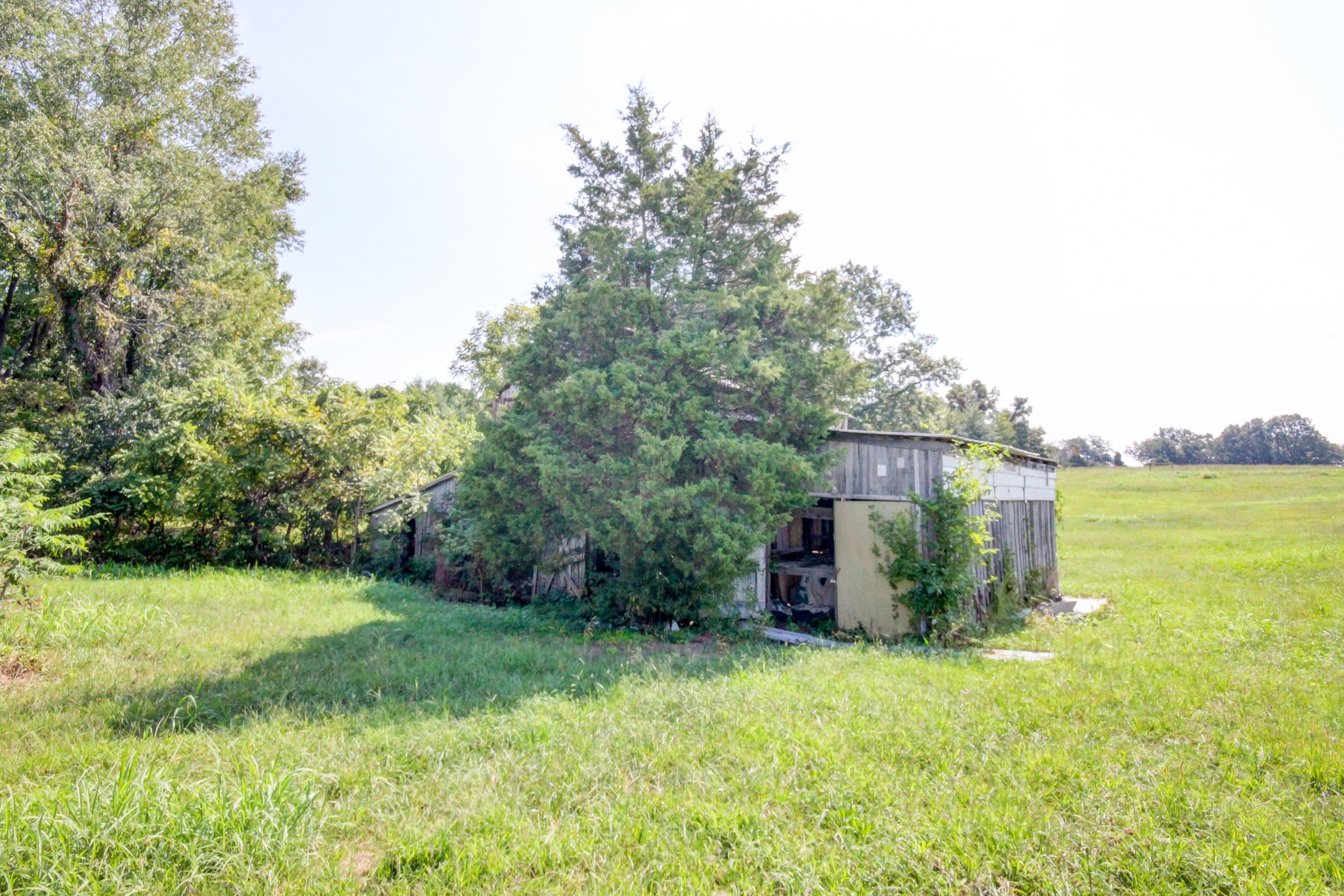 5345 Butler Road Hopkinsville, KY 42240 - Photo 16 of 55 Gallery Image 16