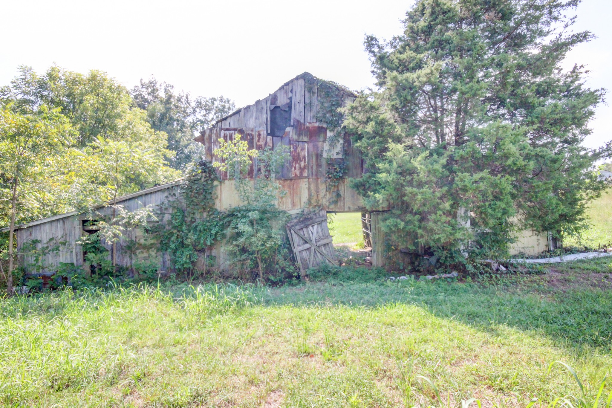 5345 Butler Road Hopkinsville, KY 42240 - Photo 17 of 55 Gallery Image 17